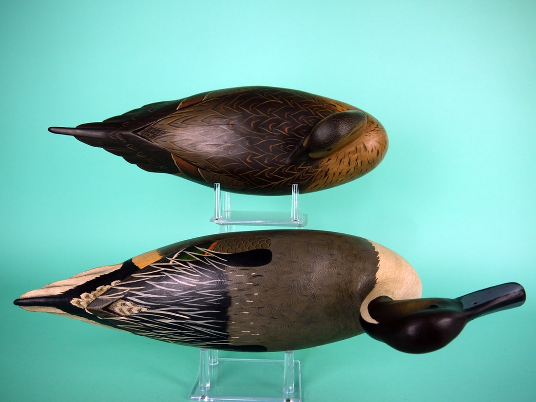PINTAIL PAIR, B. WHITE - 3