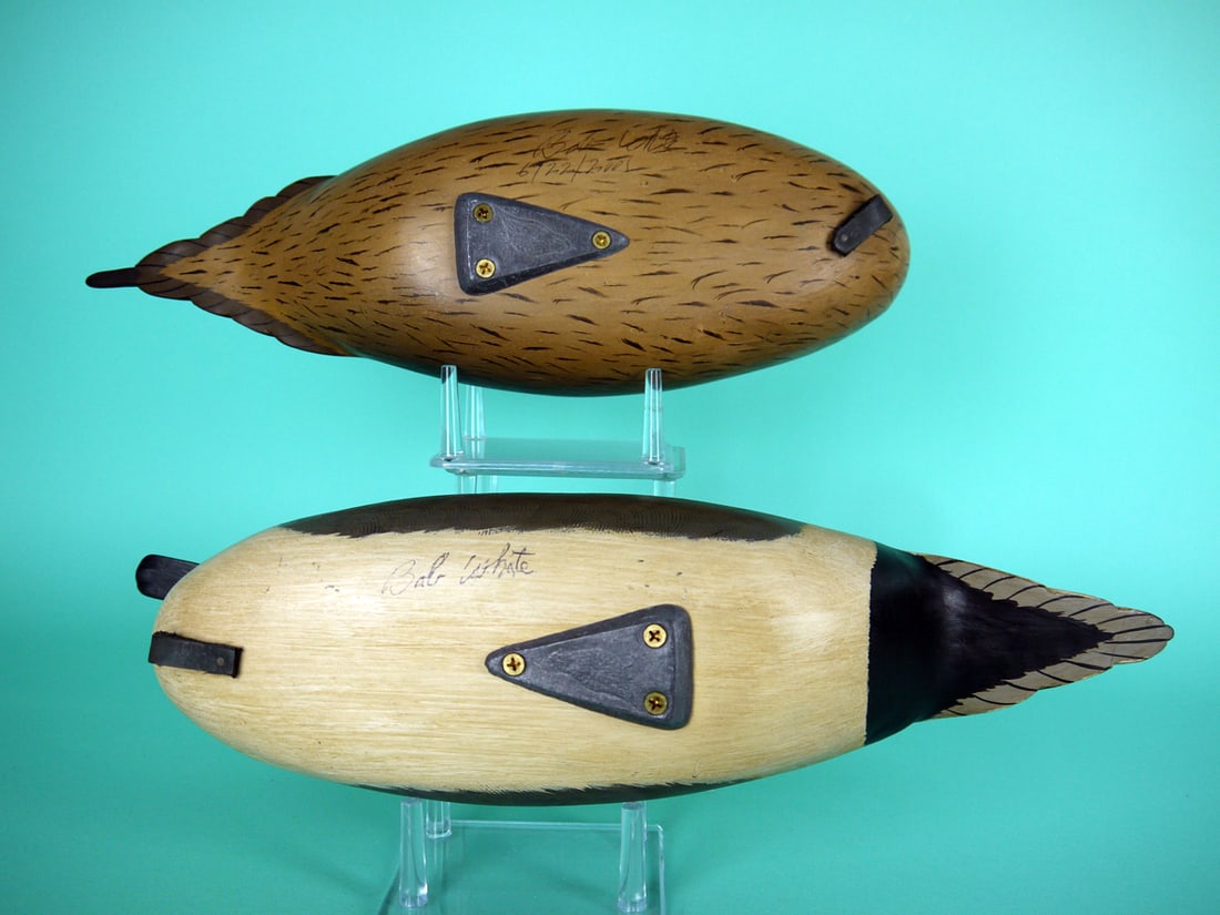 PINTAIL PAIR, B. WHITE - 4