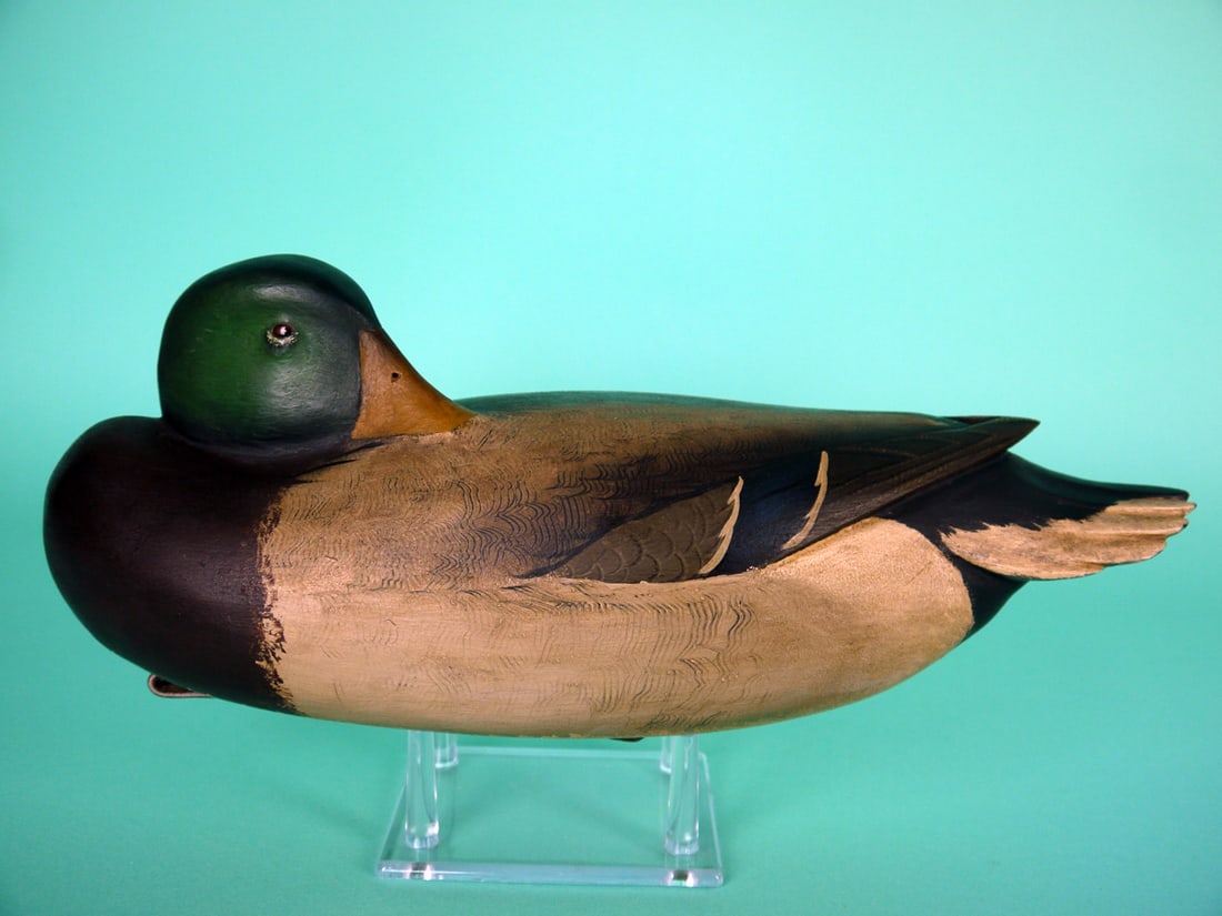 MALLARD DRAKE, B. WHITE (1 of 4)