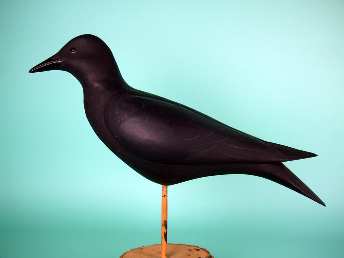 CROW, B. WHITE: FINE CROW by Bob White, Tullytown, Pa. Very good original paint and structural condition. Professional repair to bill tip and small chip to tail edge. Full-bodied carving with relief-carved wings,