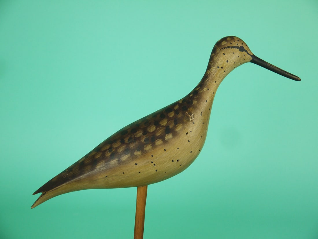 YELLOWLEGS, B. WHITE - 2