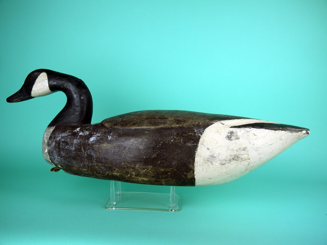 CANADA GOOSE, P. GANT (1 of 4)