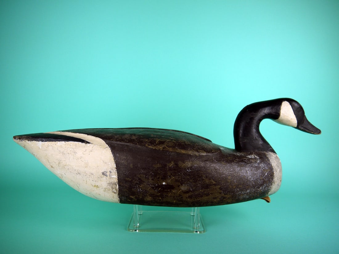 CANADA GOOSE, P. GANT - 2
