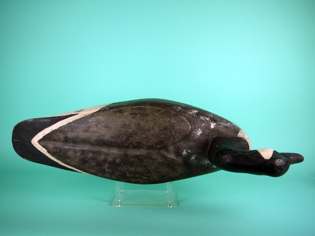 CANADA GOOSE, P. GANT - 3