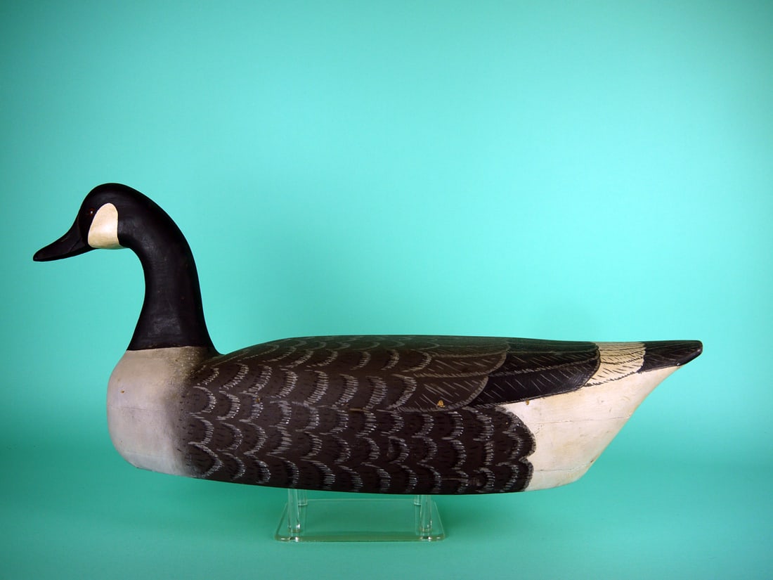 CANADA GOOSE, C. WILBER