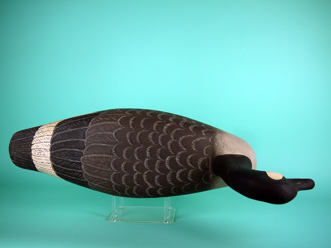 CANADA GOOSE, C. WILBER - 3