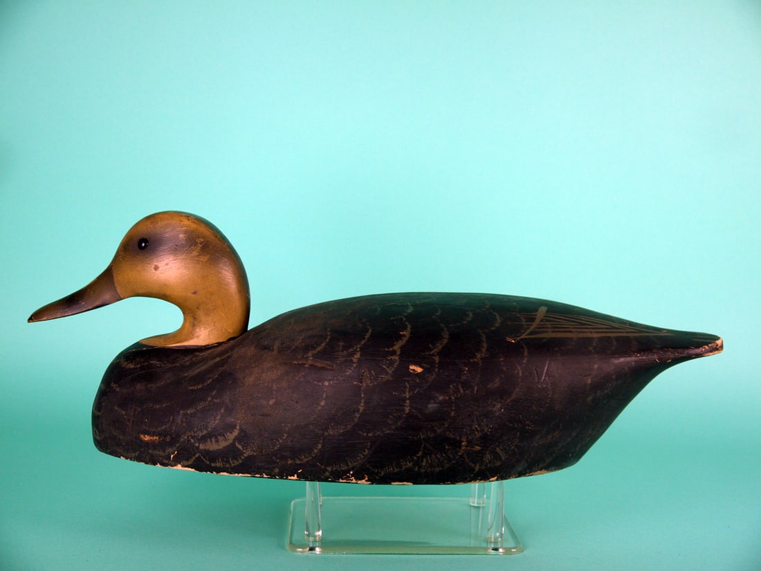 BLACK DUCK, WILDFOWLER (1 of 4)