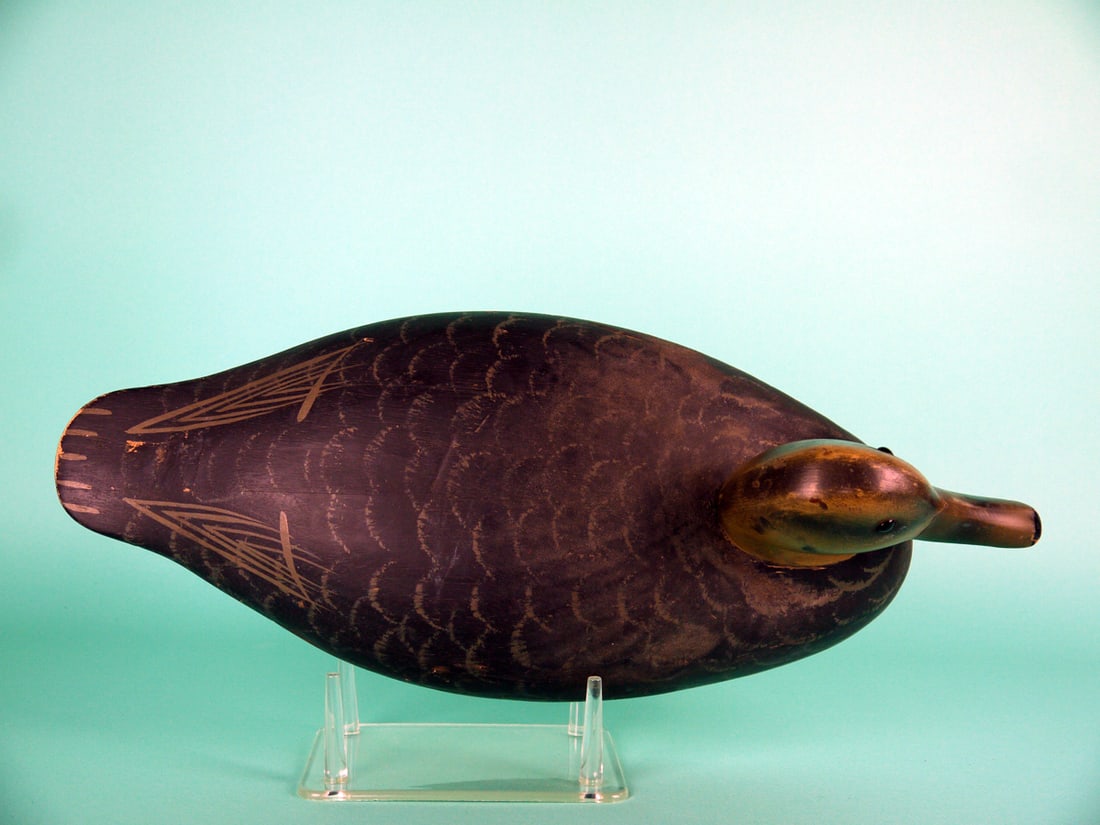 BLACK DUCK, WILDFOWLER - 3