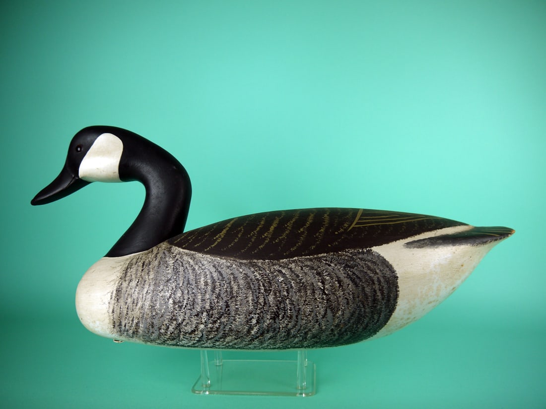 GOOSE, C. BIRDSALL - 2