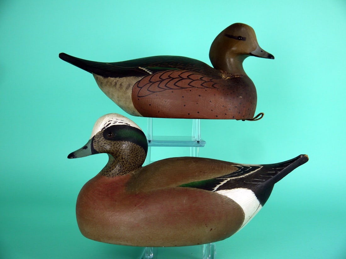 WIGEON PAIR, W. CRANMER (1 of 4)
