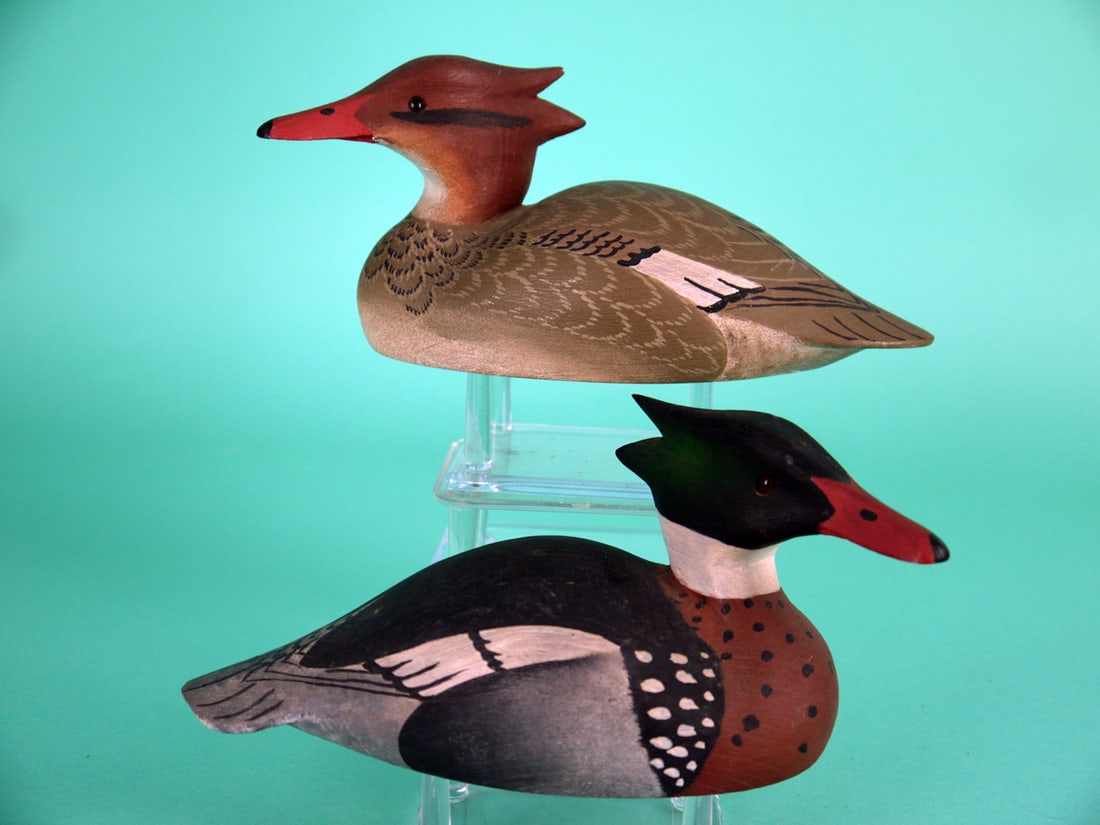 ONE-THIRD SIZE RED-BREASTED MERGANSERS, W. CRANMER: PAIR OF ONE-THIRD SIZE RED-BREASTED MERGANSERS by William Cranmer, Beach Haven, NJ. Very good original paint and structural condition. Hen with very tiny chip to one crest. The hen with very detailed