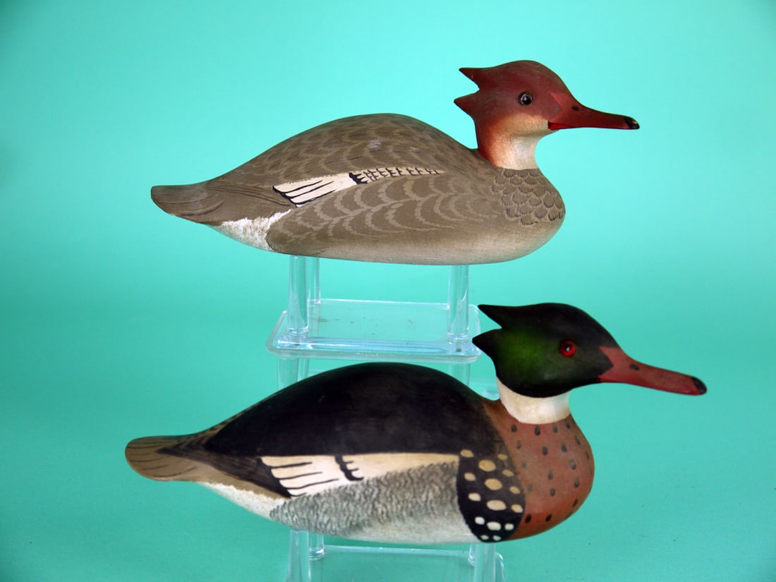 ONE-THIRD SIZE RED-BREASTED MERGANSERS, W. CRANMER: PAIR OF ONE-THIRD SIZE RED-BREASTED MERGANSERS by William Cranmer, Beach Haven, NJ. Very good original paint and structural condition. Hen with repair to small chip to tip of crest. Hen with very