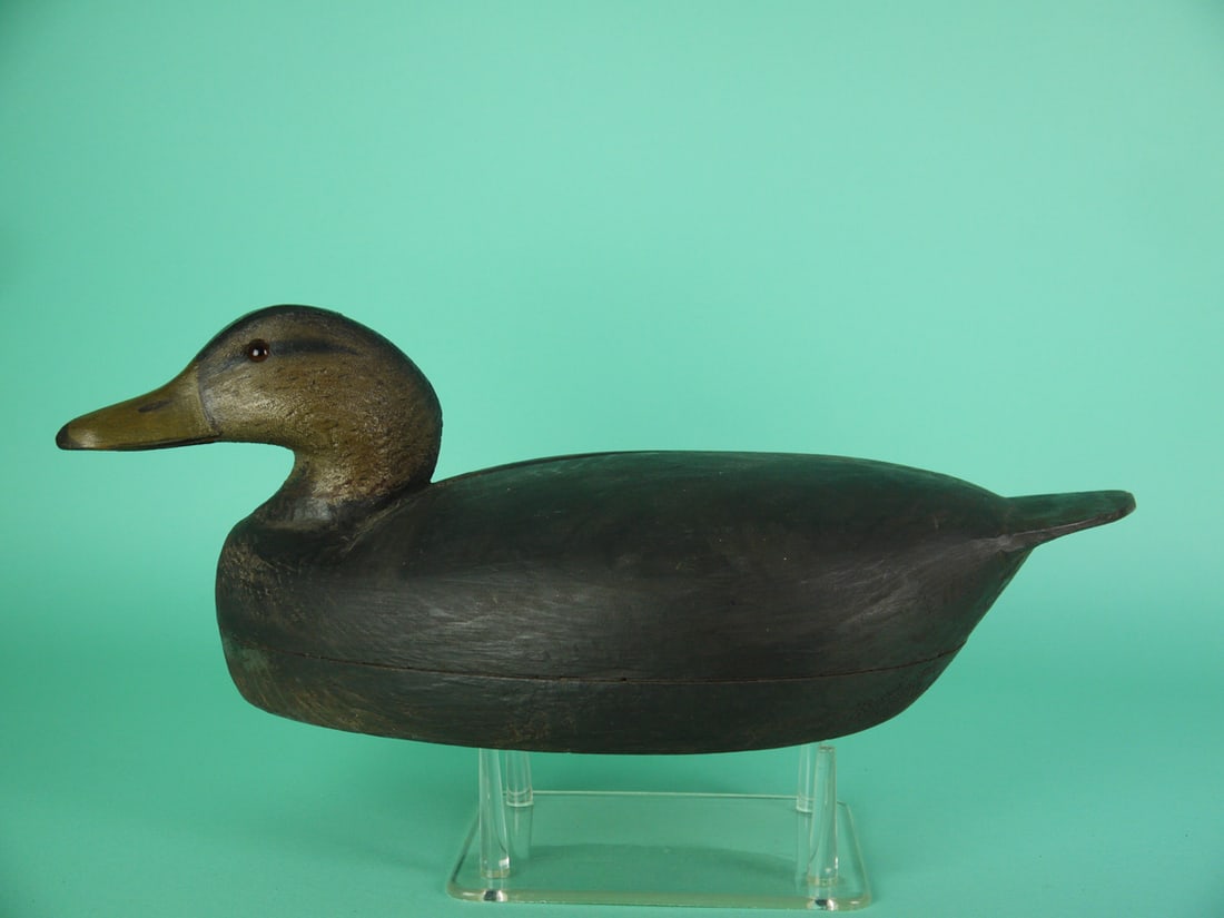 BLACK DUCK. W. CRANMER: BLACK DUCK by William Cranmer, Beach Haven, NJ. Very good original paint and structural condition. Gunning decoy with carved ice groove and paddle tail. Detailed painted feather work to the head.