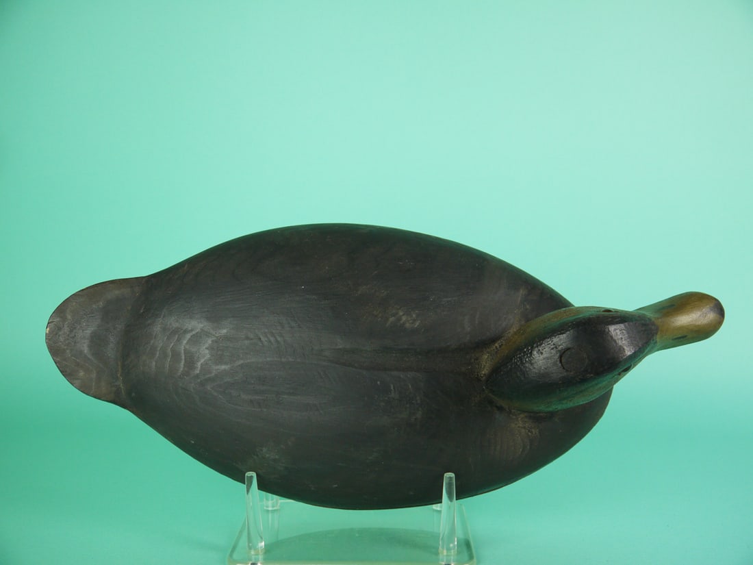 BLACK DUCK. W. CRANMER - 3
