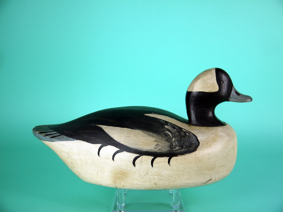 BUFFLEHEAD DRAKE, B. BEARDSLEY - 2