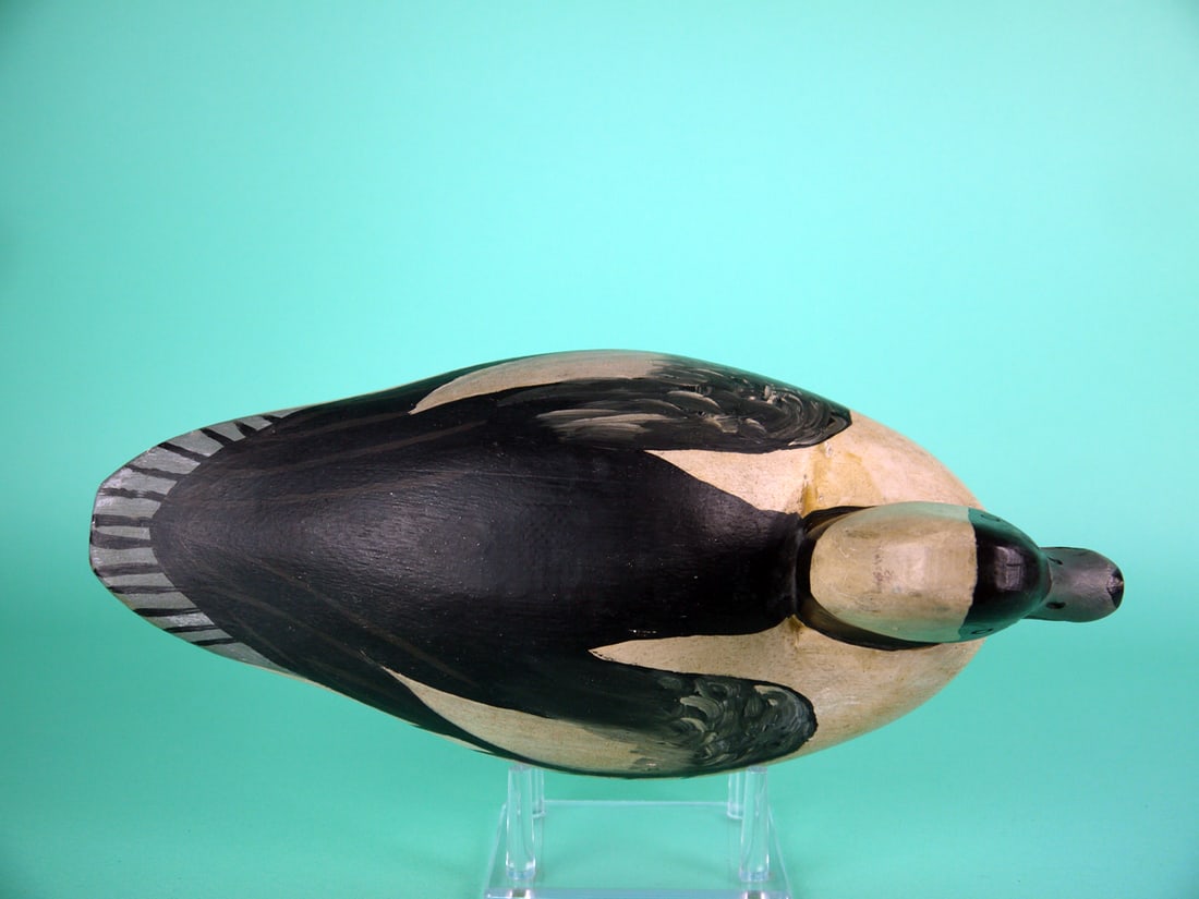BUFFLEHEAD DRAKE, B. BEARDSLEY - 3