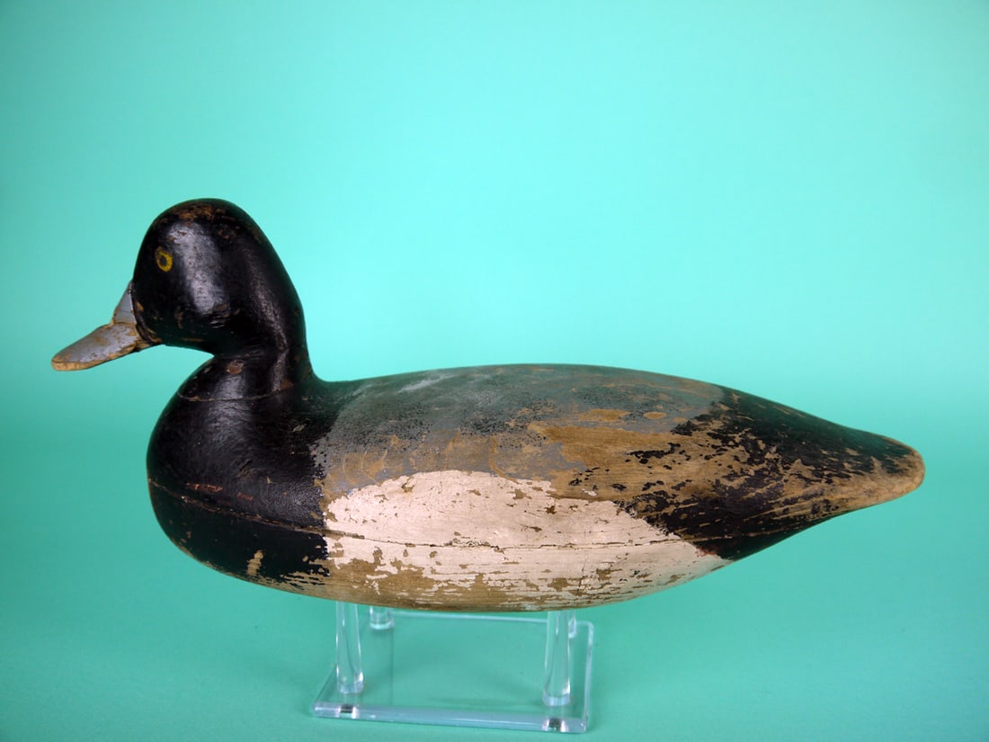 BLUEBILL DRAKE, H.V. SHOURDS: EARLY BLUEBILL DRAKE by Harry V. Shourds, Tuckerton, NJ. Working paint worn to wood in areas. Good structural condition with early bill repair. Retains original weight. Overall length is