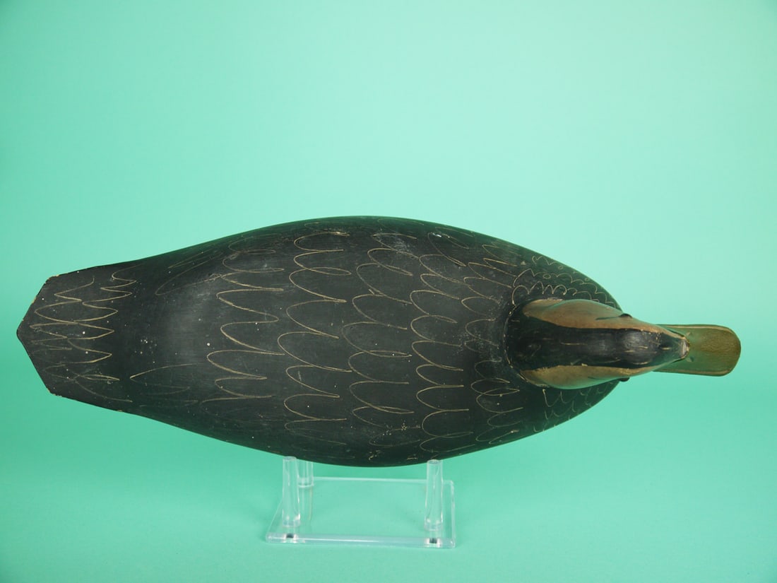 BLACK DUCK, E. HENDRICKSON - 3