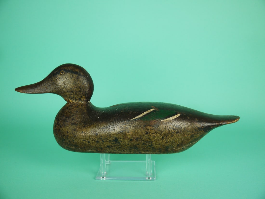 MALLARD HEN, MASON (1 of 4)