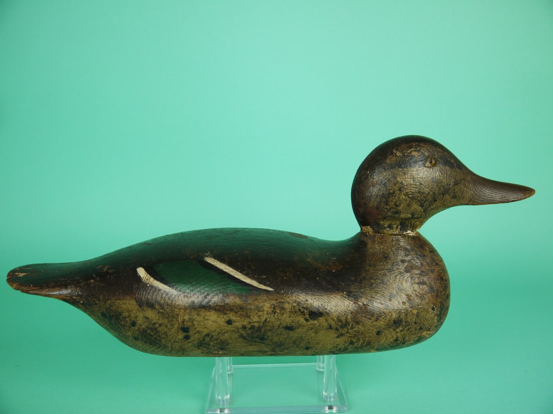 MALLARD HEN, MASON - 2