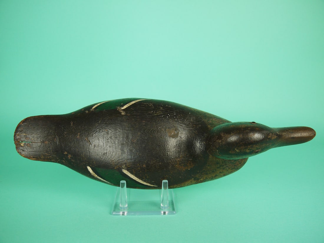 MALLARD HEN, MASON - 3