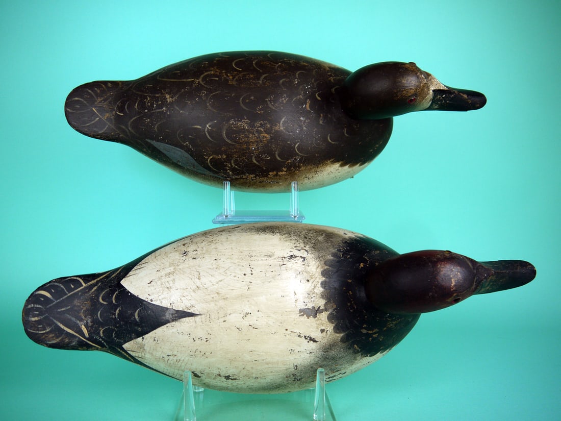 CANVASBACK PAIR, MASON - 3