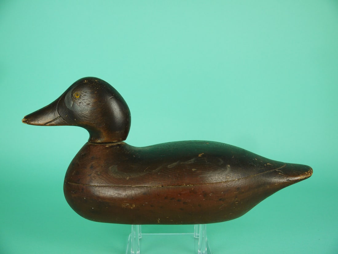 BLUE WING TEAL DRAKE, MASON (1 of 4)