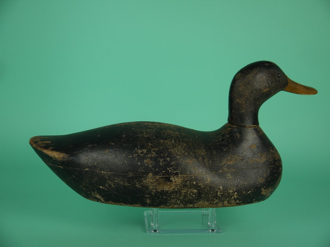 BLACK DUCK, FACTORY - 2