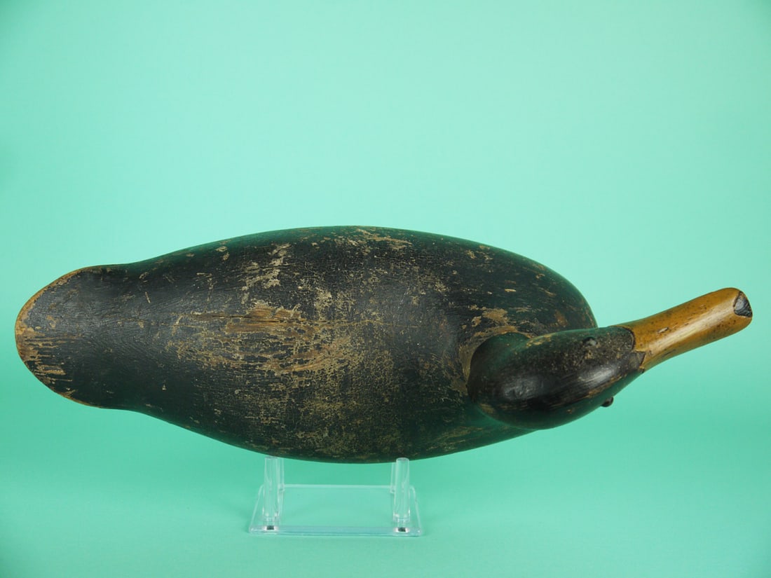 BLACK DUCK, FACTORY - 3