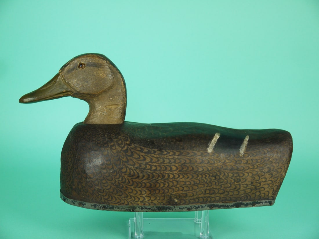 BLACK DUCK, HERTER'S: BLACK DUCK by Herter's, Waseca, MN. Canvas-covered model in very good original condition. Some minor shot marks to one side. Retains glass eyes. Keel removed. Overall length is approximately 14