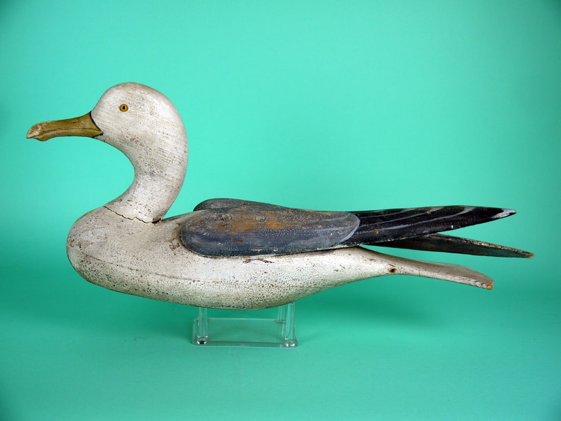 HERRING GULL, L. RENIERI ATTRIB.: HERRING GULL, attributed to Lou Renieri, Chincoteague, VA. Appears to be aged original paint with distressing. Good structural condition. Bill reset, one glass eye missing. Knot missing from underside