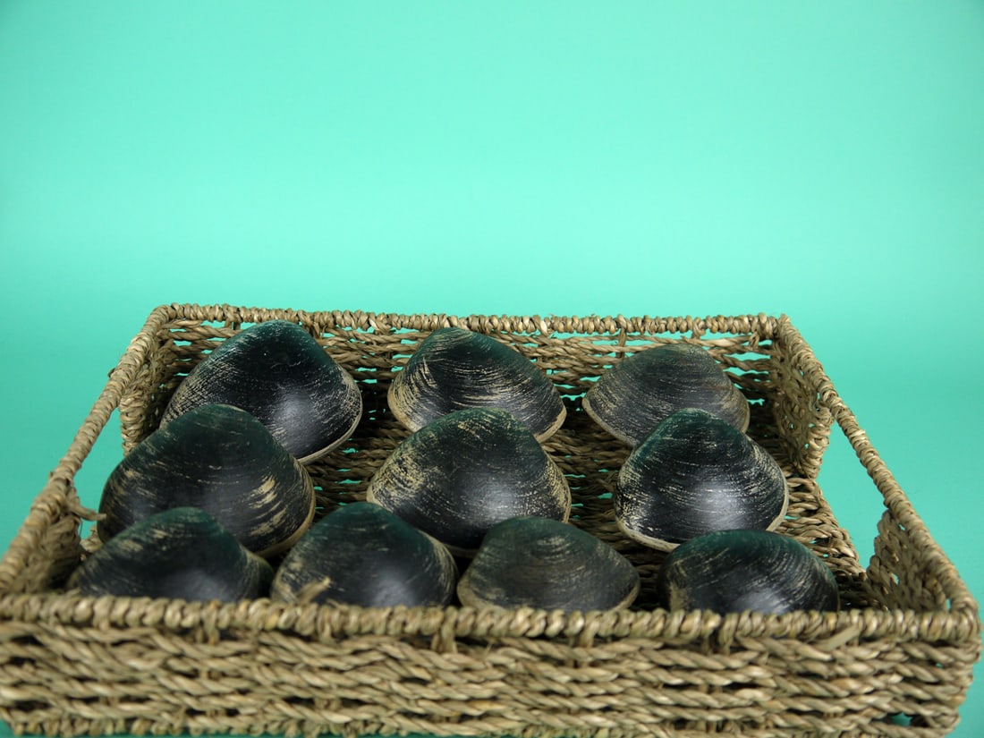 ELEVEN CARVED CLAM SHELLS (1 of 1)