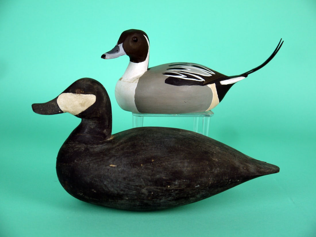 ONE-THIRD SIZE PINTAIL DRAKE, J. WEST/RUDDY DUCK (1 of 4)
