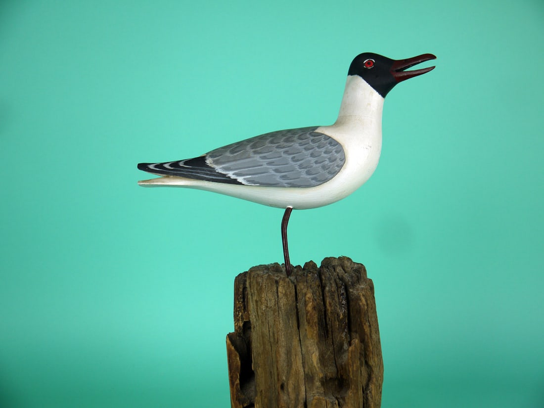TERN, H.V. SHOURDS: TERN by Harry V. Shourds, Seaville, NJ. Good original paint with some minor discoloration to white areas. Visible neck seam. Relief-carved wings and raised wing tips. Detailed painted feather work to