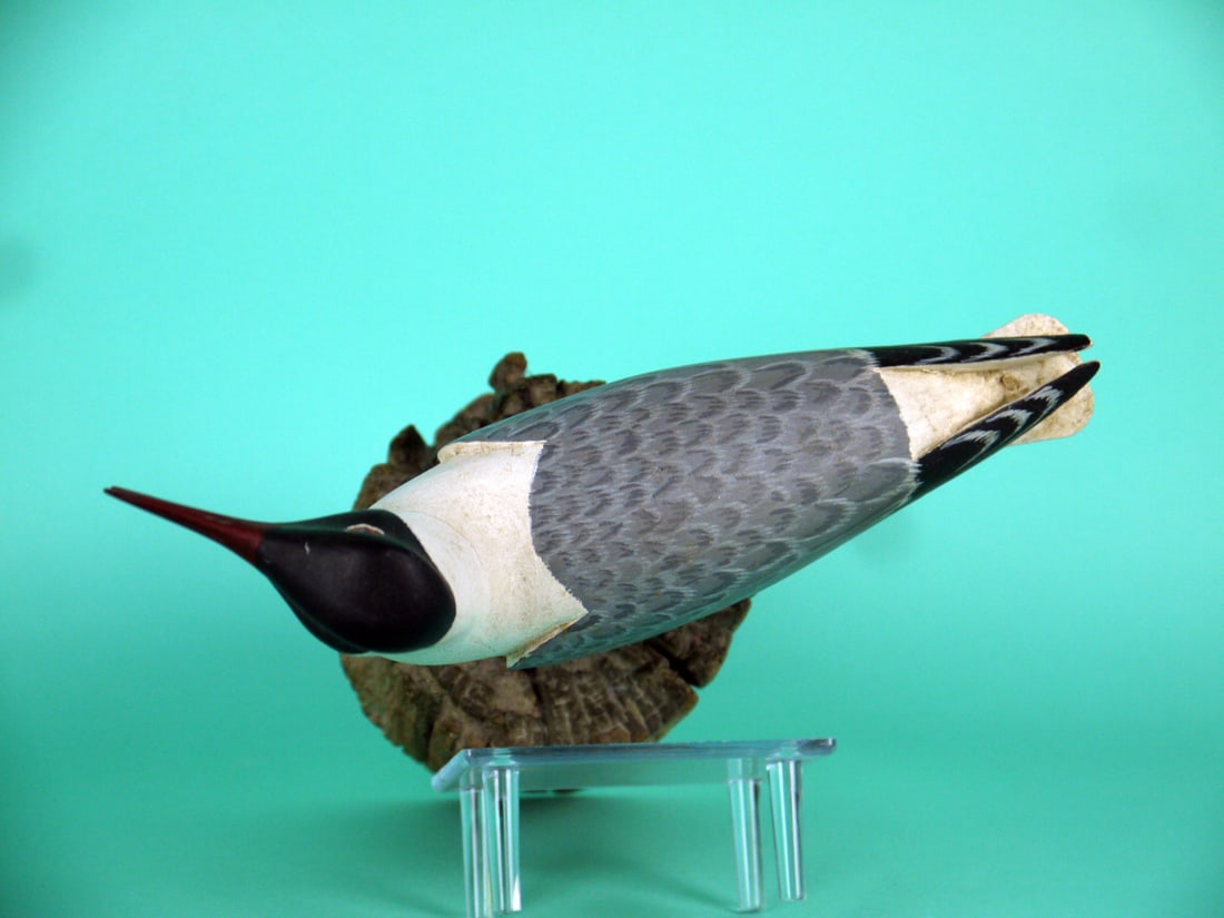 TERN, H.V. SHOURDS - 3