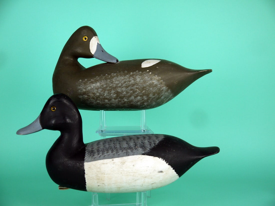 BLUEBILL PAIR, H.V. SHOURDS: PAIR OF BLUEBILLS by Harry V. Shourds, Seaville, NJ. Good original paint and structural condition. The drake with rubs to white areas; the preening hen with tight check to underside and some light