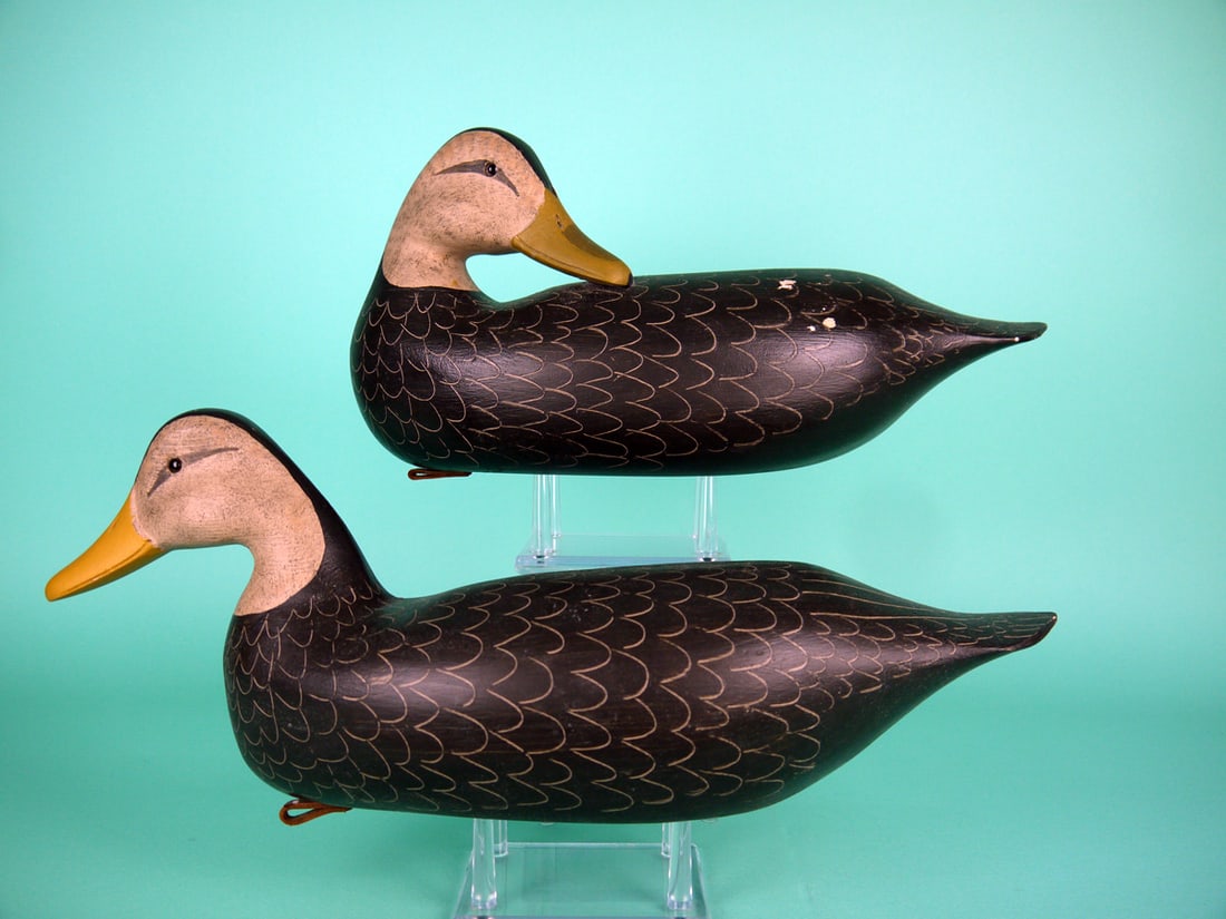 BLACK DUCK PAIR, H.V. SHOURDS (1 of 4)