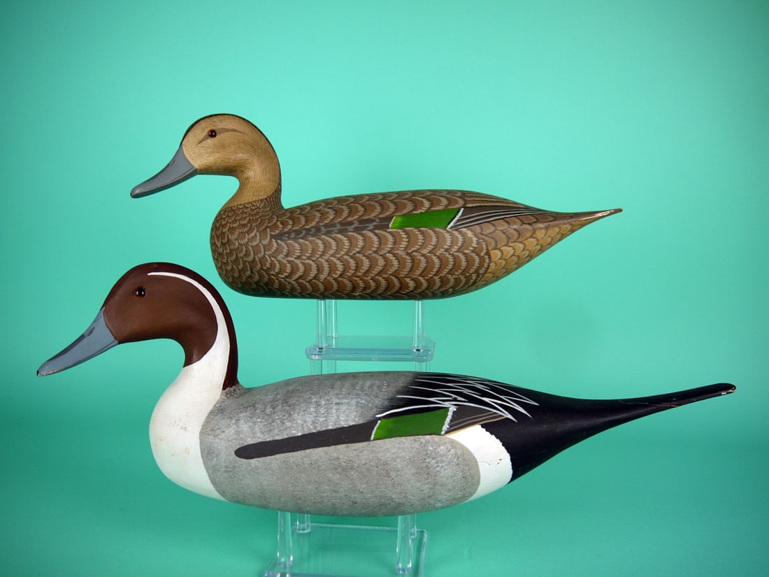 PINTAIL PAIR, H.V. SHOURDS (1 of 4)