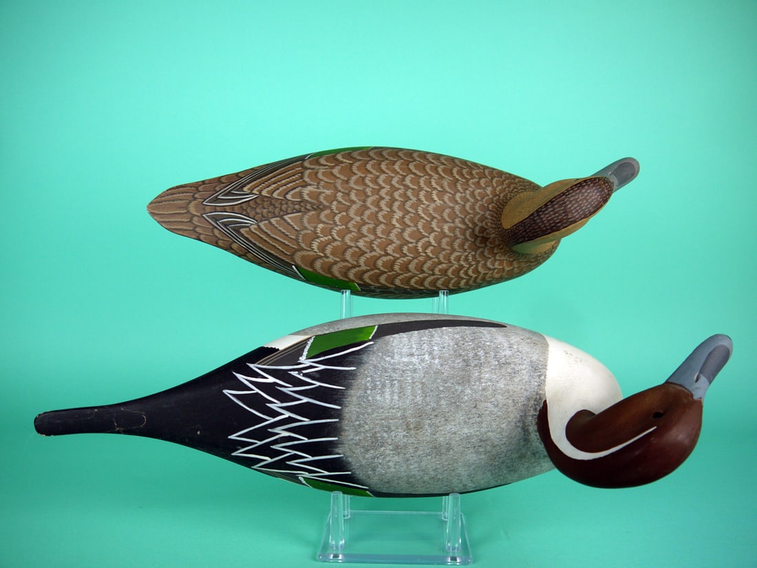 PINTAIL PAIR, H.V. SHOURDS - 3
