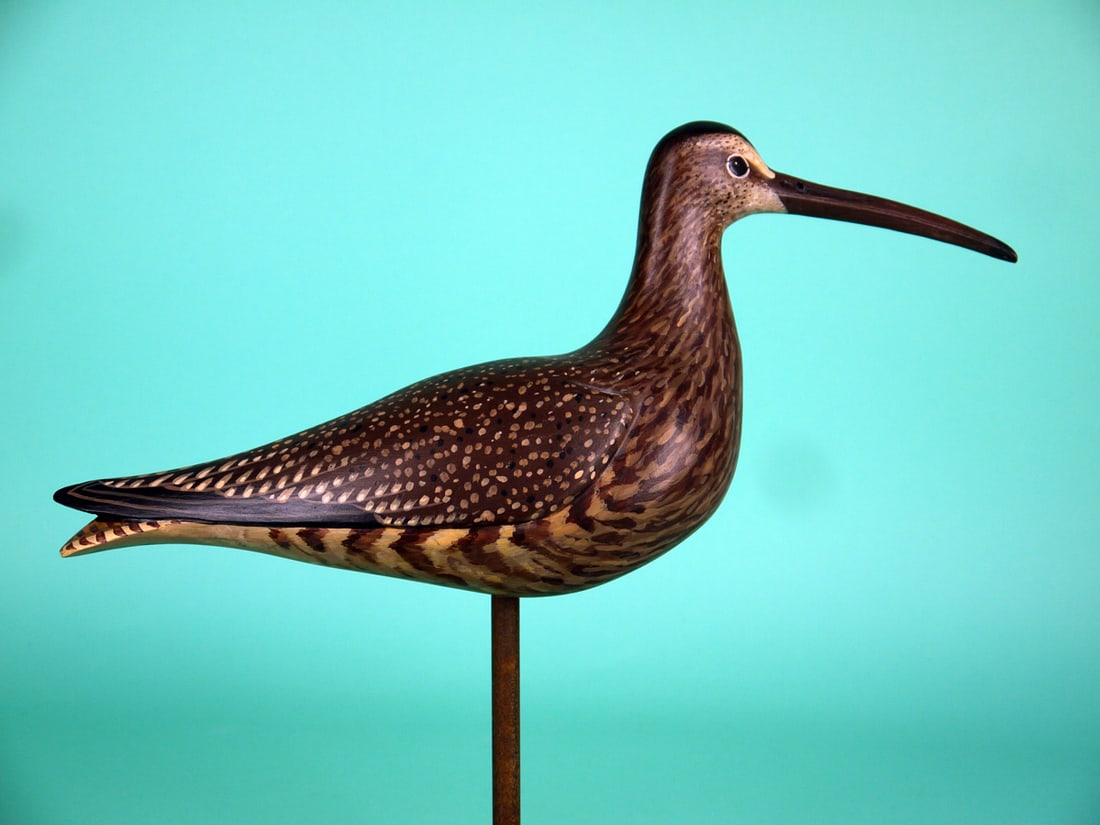 WHIMBREL, D. RHODES: VERY FINE WHIMBREL by Dave Rhodes, Absecon, NJ. Excellent original paint and structural condition. Plump body with very detailed painted feather work overall. Relief-carved wings with raised wing
