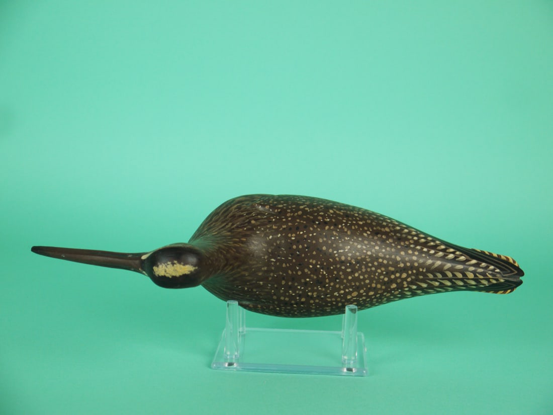 WHIMBREL, D. RHODES - 3