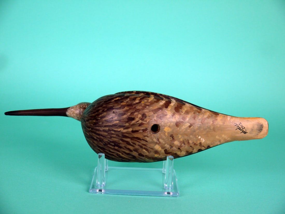 WHIMBREL, D. RHODES - 4