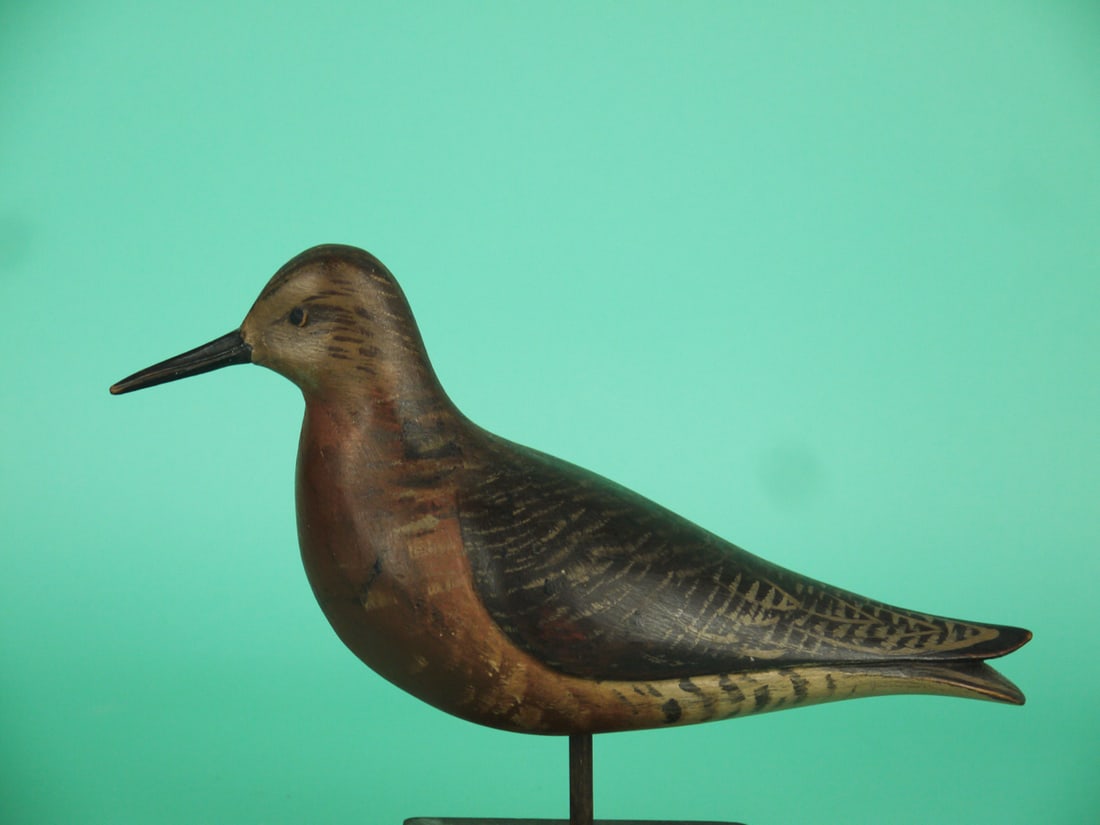 ROBIN SNIPE, D. RHODES: ROBIN SNIPE by Dave Rhodes, Absecon, NJ. Very good original paint and structural condition. Relief-carved wings and split-tail carving. Painted tack eyes. Signed by the maker. Overall length is
