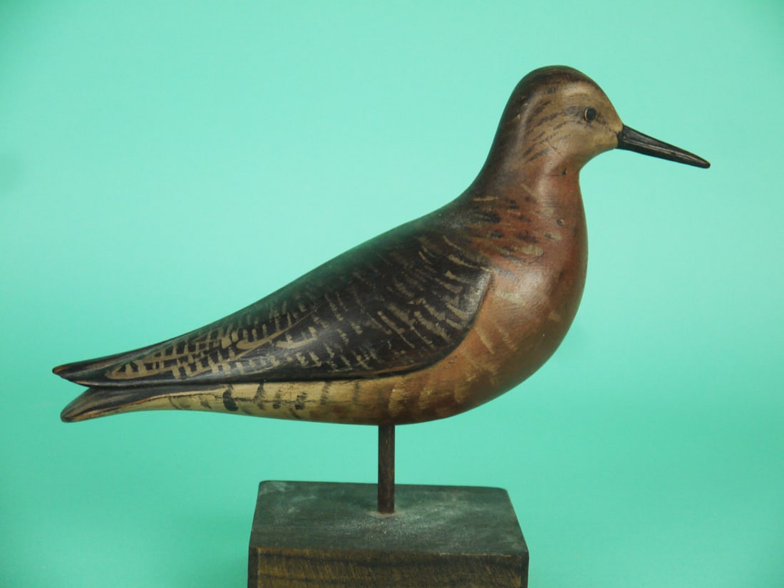 ROBIN SNIPE, D. RHODES - 2