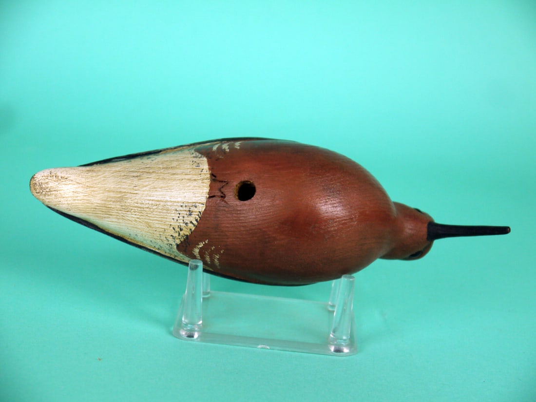 RED KNOT, S. MOREY - 4