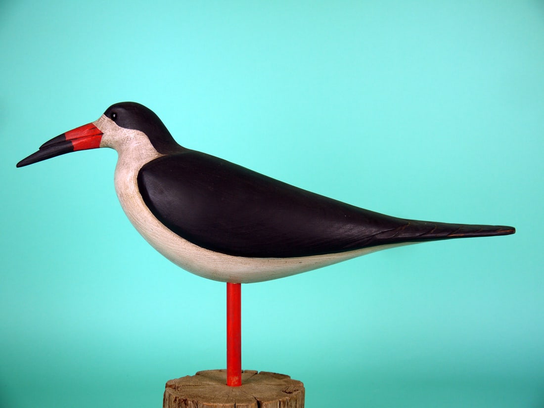 BLACK SKIMMER, S. MOREY: BLACK SKIMMER by Steve Morey, Tuckerton, NJ. Very good original paint and structural condition. Several faint paint spots on back. Relief-carved wings with carved wing tips and tail. Head retains