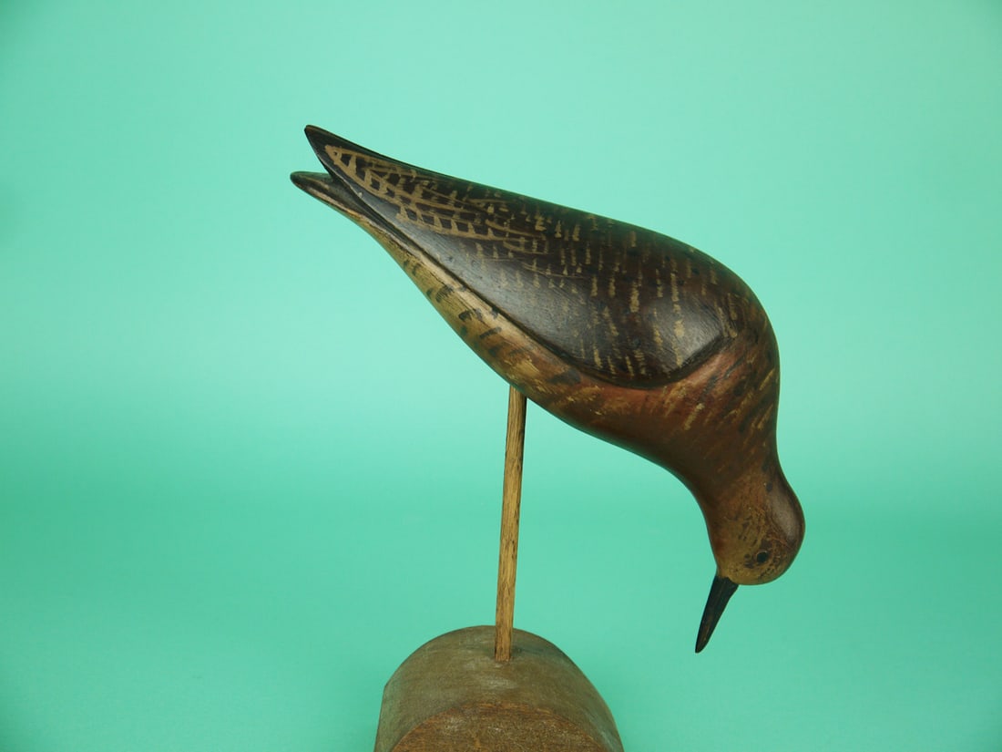 ROBIN SNIPE, D. RHODES (1 of 4)
