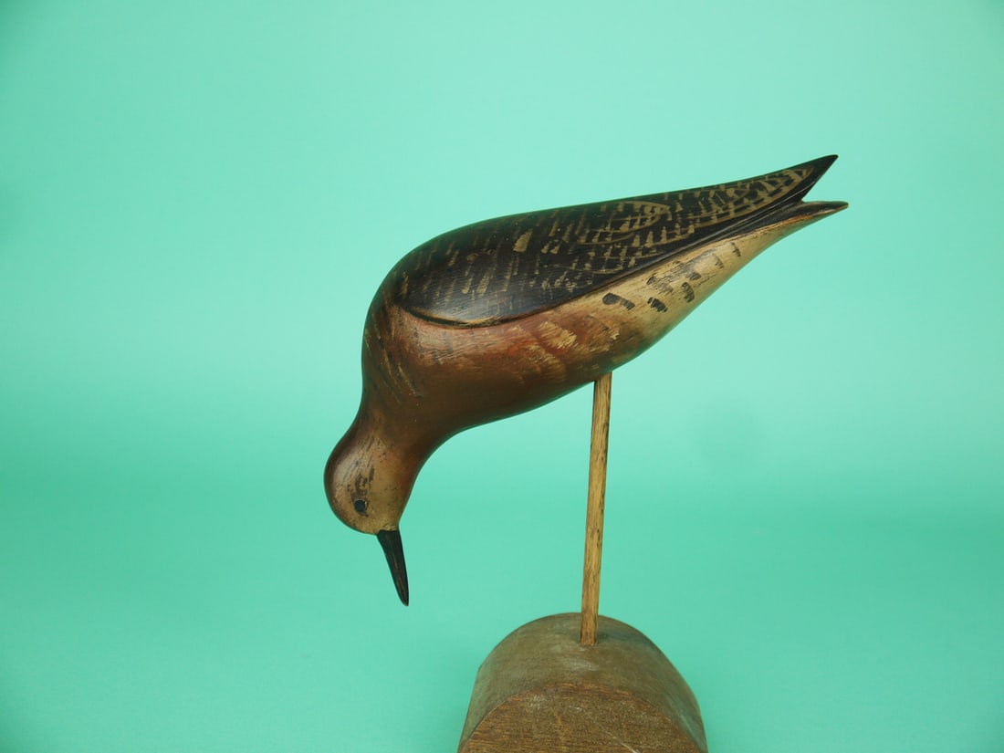 ROBIN SNIPE, D. RHODES - 2
