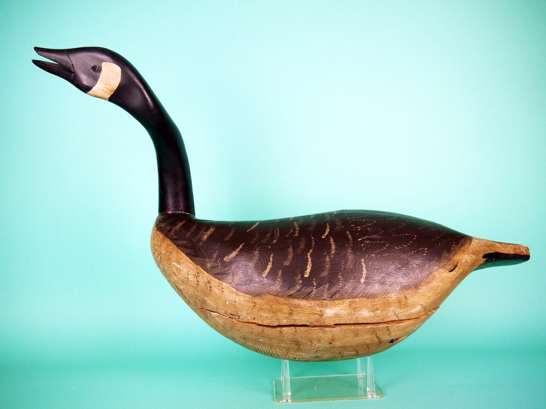 CANADA GOOSE: CANADA GOOSE, unknown carver. Original paint and good structural condition. Open check to one side of the body. Head appears to have been reset. Chip to top bill. Solid body with extended curved
