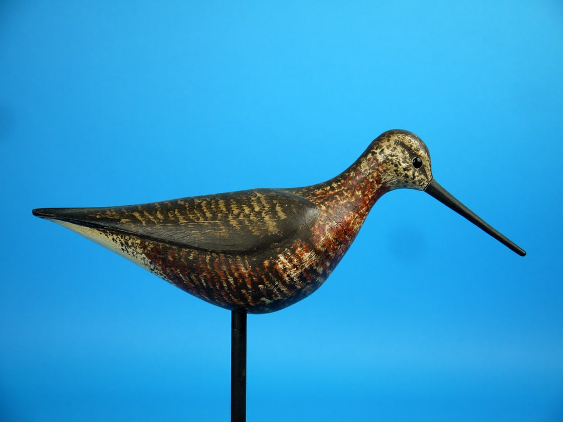 DOWITCHER, S. MOREY - 2